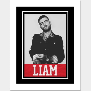 liam payne Posters and Art